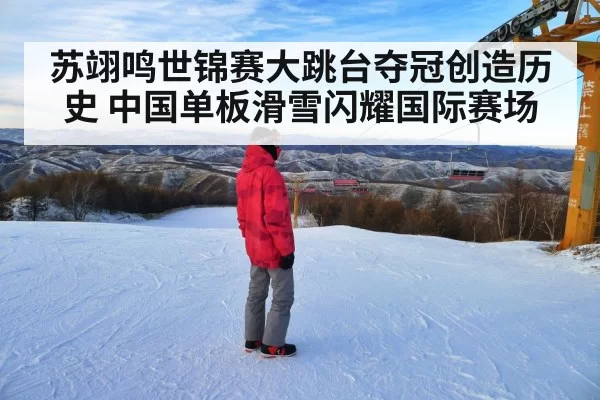苏翊鸣世锦赛大跳台夺冠创造历史 中国单板滑雪闪耀国际赛场