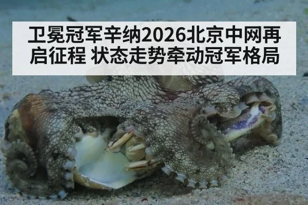 卫冕冠军辛纳2026北京中网再启征程 状态走势牵动冠军格局